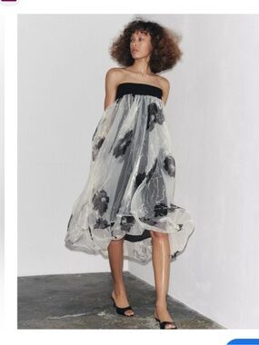 Zara ZW Collection Printed Organza Dress  - Women’s Large